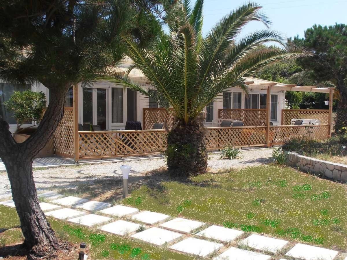 Elli Beach Apartments And Studios Almiros Beach Dış mekan fotoğraf