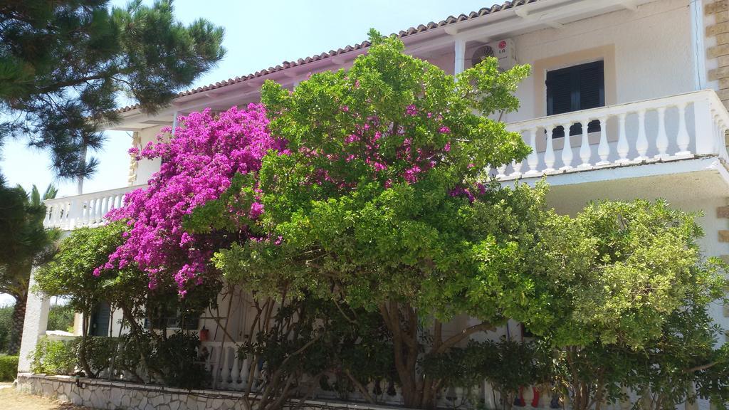 Elli Beach Apartments And Studios Almiros Beach Dış mekan fotoğraf